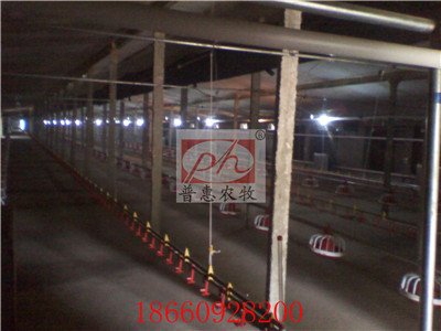 �B(y��ng)���O��-�Ͼ�