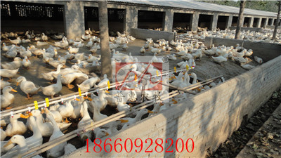 �B(y��ng)���O(sh��)��-ˮ��